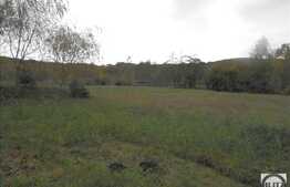 Teren de vanzare, 3960 mp, cu front de 30 ml, locatie excelenta!