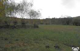 Teren de vanzare, 3960 mp, cu front de 30 ml, locatie excelenta!