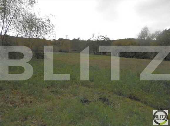 Teren de vânzare Făget - 22837TV | BLITZ Cluj-Napoca | Poza5