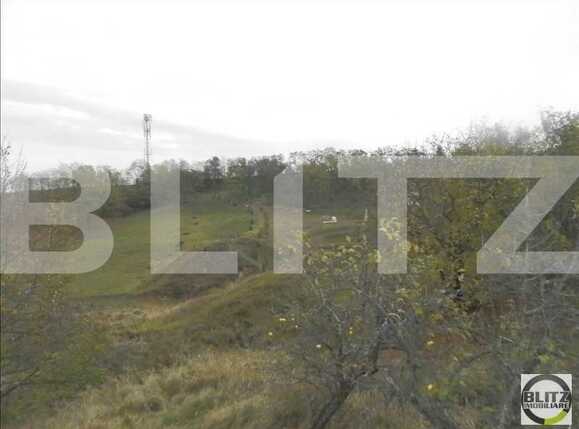 Teren de vânzare Făget - 22837TV | BLITZ Cluj-Napoca | Poza8