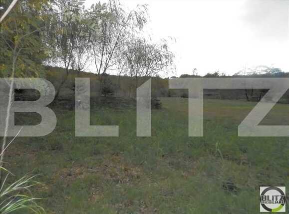 Teren de vânzare Făget - 22837TV | BLITZ Cluj-Napoca | Poza6