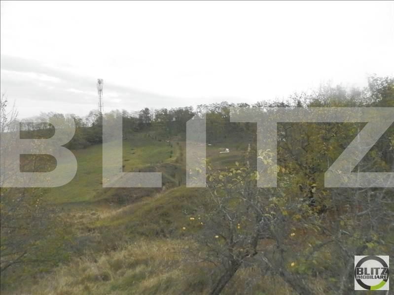 Teren de vânzare Făget - 22837TV | BLITZ Cluj-Napoca | Poza8