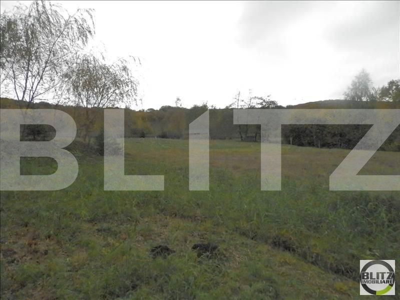 Teren de vânzare Făget - 22837TV | BLITZ Cluj-Napoca | Poza9