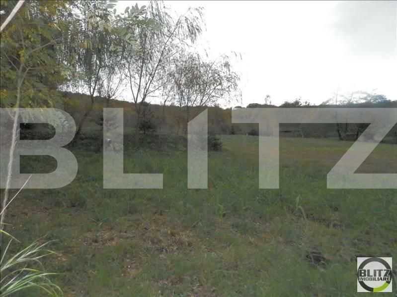 Teren de vânzare Făget - 22837TV | BLITZ Cluj-Napoca | Poza6