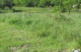 Teren de vanzare 2500 mp, utilitati la front, zona linistita de case/vile