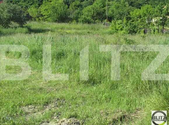 Teren de vânzare Făget - 22838TV | BLITZ Cluj-Napoca | Poza1