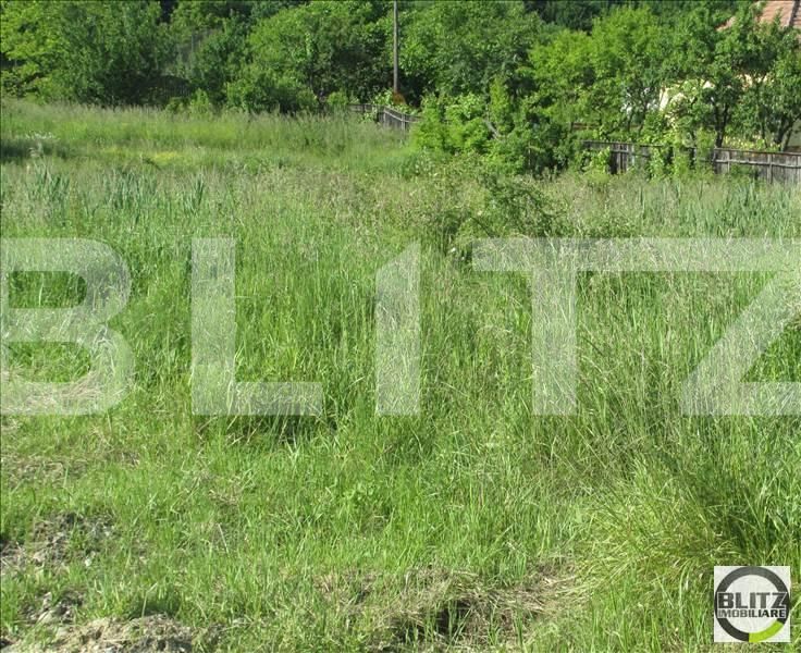 Teren de vânzare Făget - 22838TV | BLITZ Cluj-Napoca | Poza3