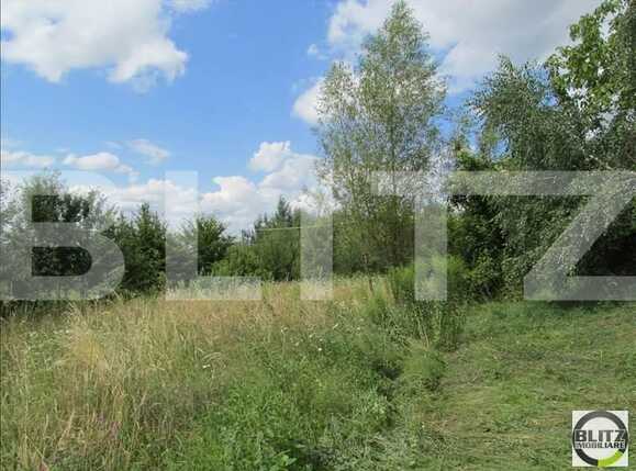 Teren de vânzare Făget - 22839TV | BLITZ Cluj-Napoca | Poza5