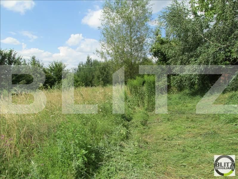 Teren de vânzare Făget - 22839TV | BLITZ Cluj-Napoca | Poza2