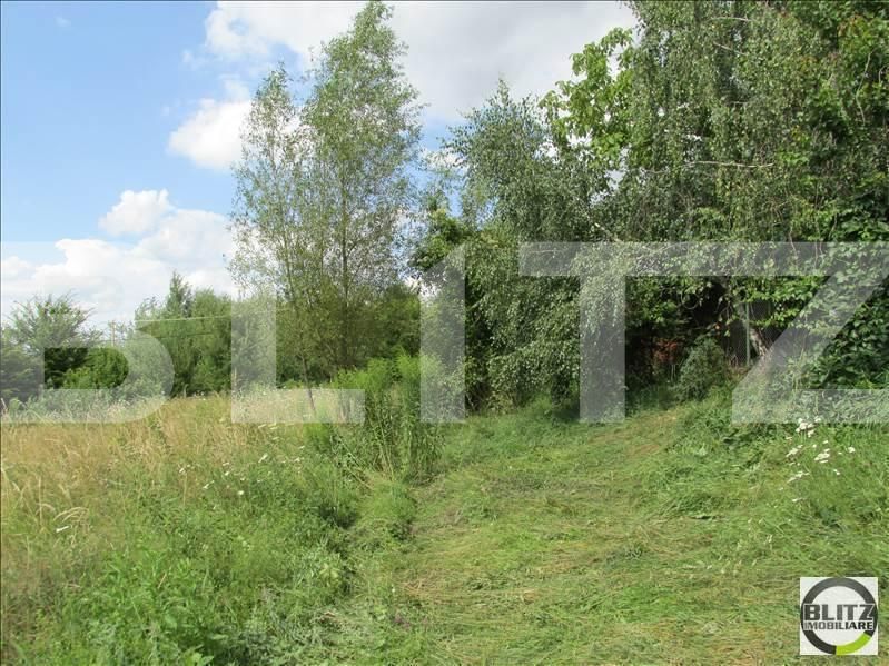 Teren de vânzare Făget - 22839TV | BLITZ Cluj-Napoca | Poza4