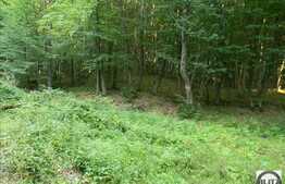 Vanzare teren, 2100 mp, Extras de Carte Funciara, zona linistita