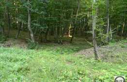 Vanzare teren, 2100 mp, Extras de Carte Funciara, zona linistita