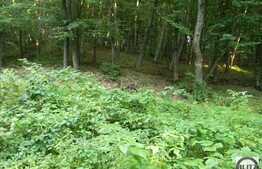 Vanzare teren, 2100 mp, Extras de Carte Funciara, zona linistita