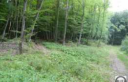 Vanzare teren, 2100 mp, Extras de Carte Funciara, zona linistita