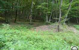 Vanzare teren, 2100 mp, Extras de Carte Funciara, zona linistita