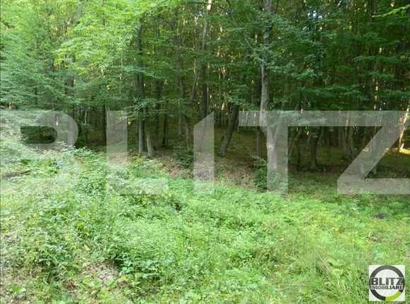 Teren de vânzare Făget - 22846TV | BLITZ Cluj-Napoca | Poza1