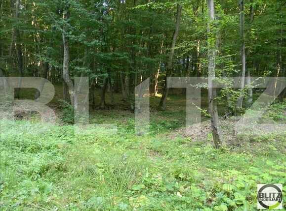 Teren de vânzare Făget - 22846TV | BLITZ Cluj-Napoca | Poza6