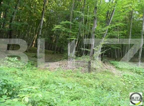 Teren de vânzare Făget - 22846TV | BLITZ Cluj-Napoca | Poza4