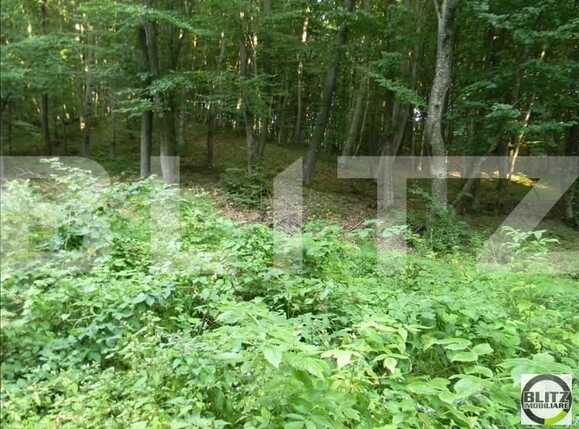 Teren de vânzare Făget - 22846TV | BLITZ Cluj-Napoca | Poza3