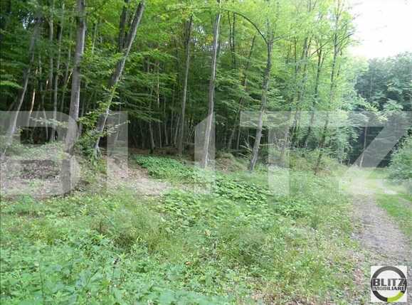 Teren de vânzare Făget - 22846TV | BLITZ Cluj-Napoca | Poza5