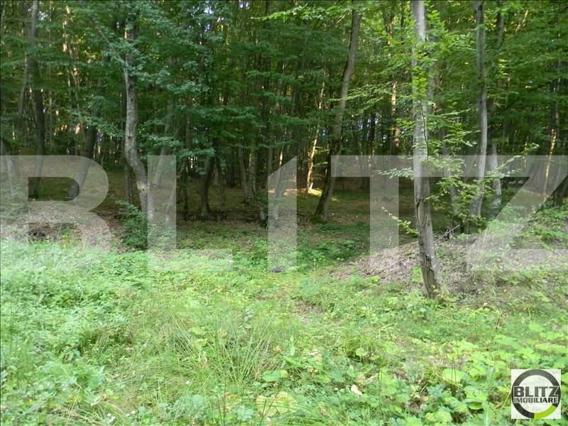 Teren de vânzare Făget - 22846TV | BLITZ Cluj-Napoca | Poza6