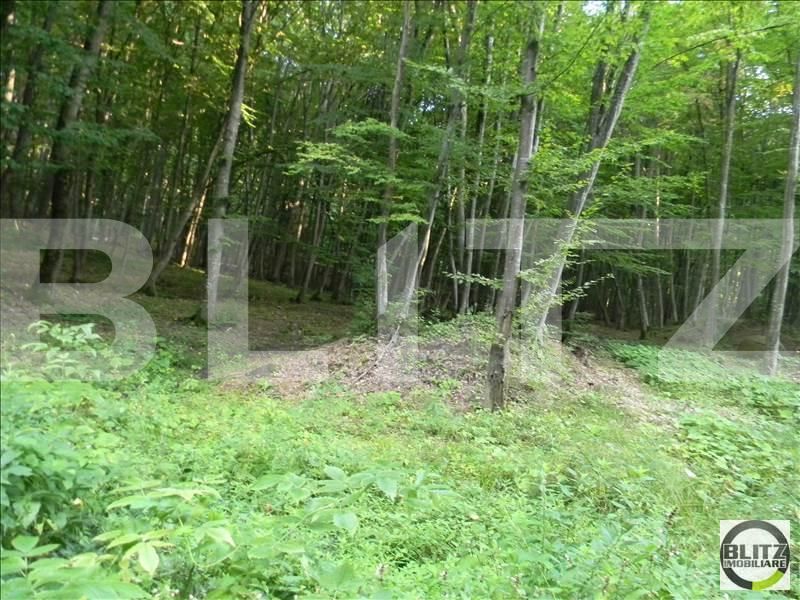 Teren de vânzare Făget - 22846TV | BLITZ Cluj-Napoca | Poza4