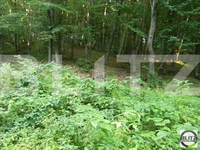 Teren de vânzare Făget - 22846TV | BLITZ Cluj-Napoca | Poza3