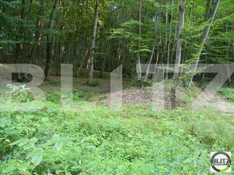 Teren de vânzare Făget - 22846TV | BLITZ Cluj-Napoca | Poza2