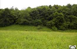 Panorama Asupra Florestiului. Dedicat Dezvoltatorilor Imobiliari !