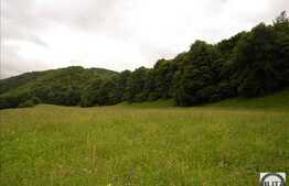 Panorama Asupra Florestiului. Dedicat Dezvoltatorilor Imobiliari !