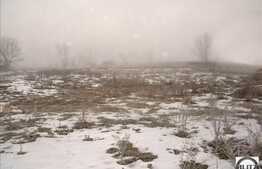 Oportunitate de investitite, teren 1900 mp zona Tineretului