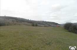 Vanzare teren 8200 mp, cu front 120 ml, zona Cheile Baciului, POT 30 % CUT 0.9