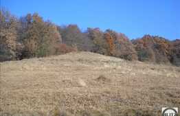 10160 mp cu front de 40 ml in locatie insorita!