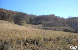 10160 mp cu front de 40 ml in locatie insorita!