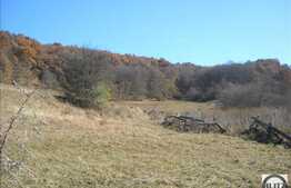 10160 mp cu front de 40 ml in locatie insorita!