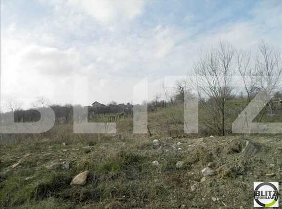 Teren de vânzare Becaş - 22860TV | BLITZ Cluj-Napoca | Poza5