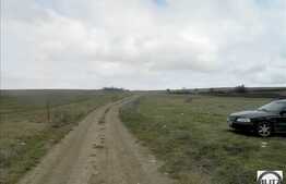 Teren de vanzare 1000 mp front de 35 ml, la 300 ml fata de Calea Borhanciului