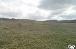 Teren de vanzare 1000 mp front de 35 ml, la 300 ml fata de Calea Borhanciului