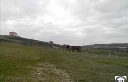 Teren de vanzare 1000 mp, cu front de 20 ml, POT 35% CUT 0.9. Zona linistita!