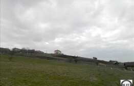 Teren de vanzare 1000 mp, cu front de 20 ml, POT 35% CUT 0.9. Zona linistita!