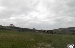 Teren de vanzare 1000 mp, cu front de 20 ml, POT 35% CUT 0.9. Zona linistita!