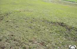 Vanzare teren agricol cu 2900 mp in zona de centura Floresti.