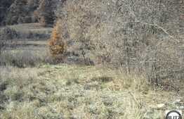 Suficient pentru o casa individuala!