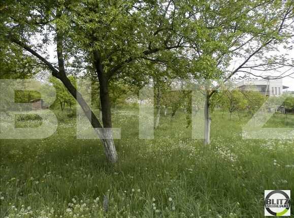 Teren de vânzare Dambul Rotund - 22881TV | BLITZ Cluj-Napoca | Poza5