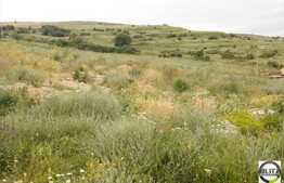 Vanzare teren 949 mp, cu front de 20 ml, zona Valea Chintaului, POT 35 % CUT 0.9