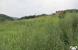 Teren  zona Fagului cu 6000 mp! Posibilitate achizitionare parcele!