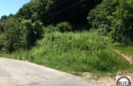 Vanzare teren cu 840 mp. Front de 28 ml  in zona Tauti