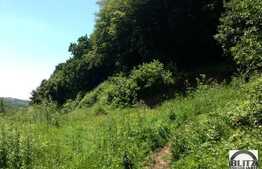 Vanzare teren cu 840 mp. Front de 28 ml  in zona Tauti