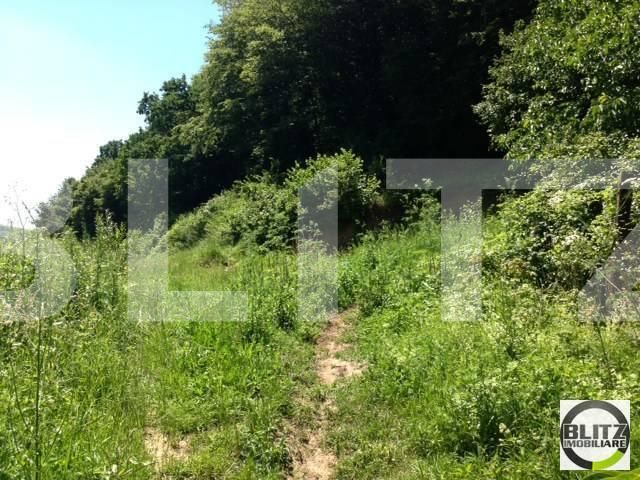 Teren de vânzare Floreşti - 22887TV | BLITZ Cluj-Napoca | Poza3