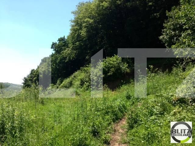 Teren de vânzare Floreşti - 22887TV | BLITZ Cluj-Napoca | Poza4